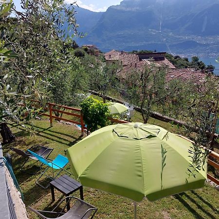 Ulivi Sul Garda Garden By Gardadomusmea Apartment Tremosine Екстериор снимка