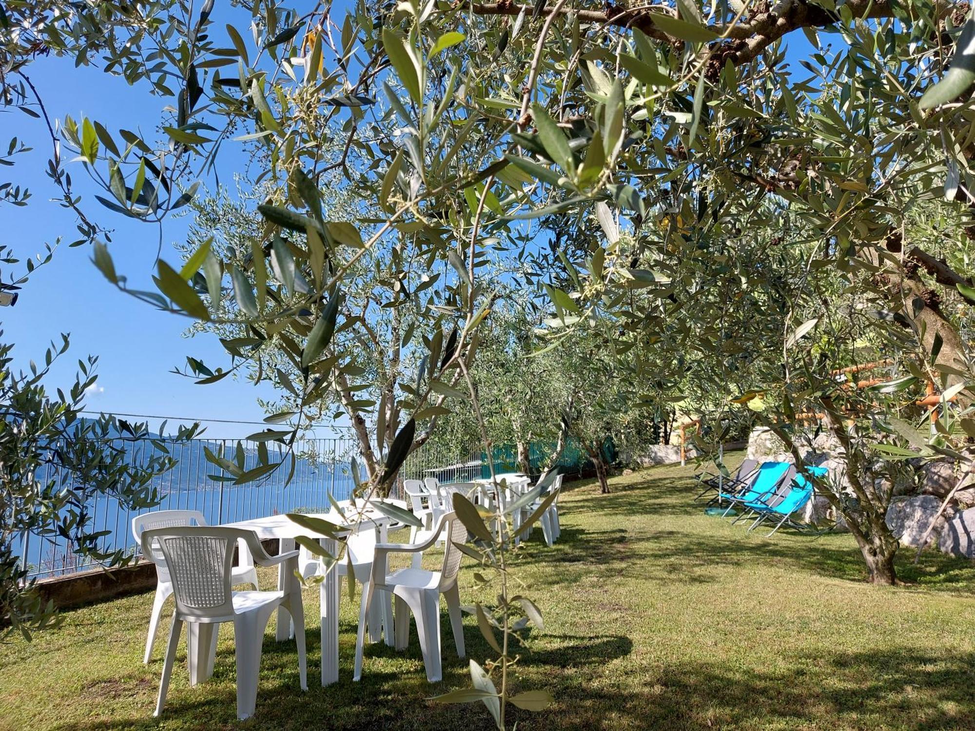 Ulivi Sul Garda Garden By Gardadomusmea Apartment Tremosine Екстериор снимка