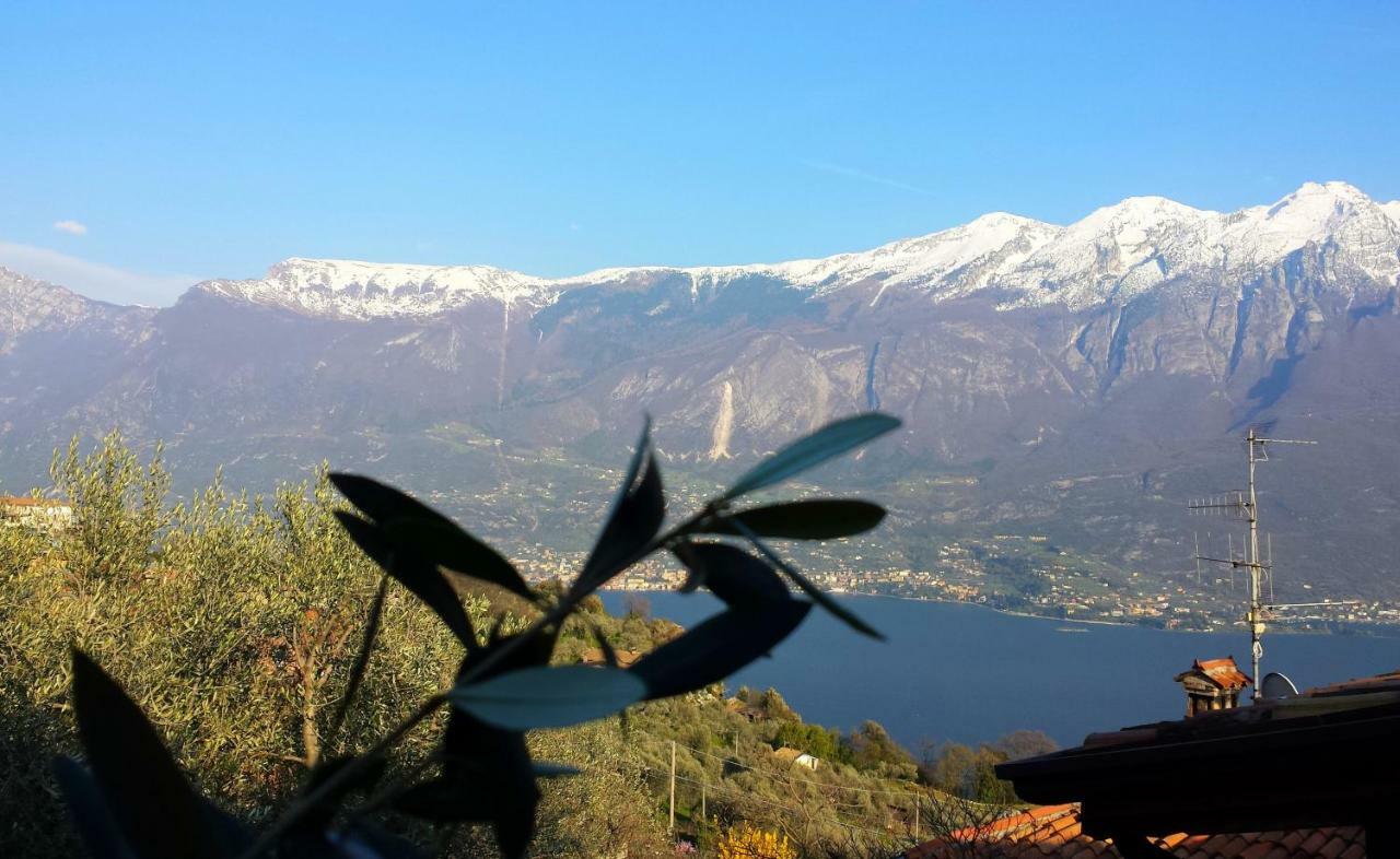 Ulivi Sul Garda Garden By Gardadomusmea Apartment Tremosine Екстериор снимка