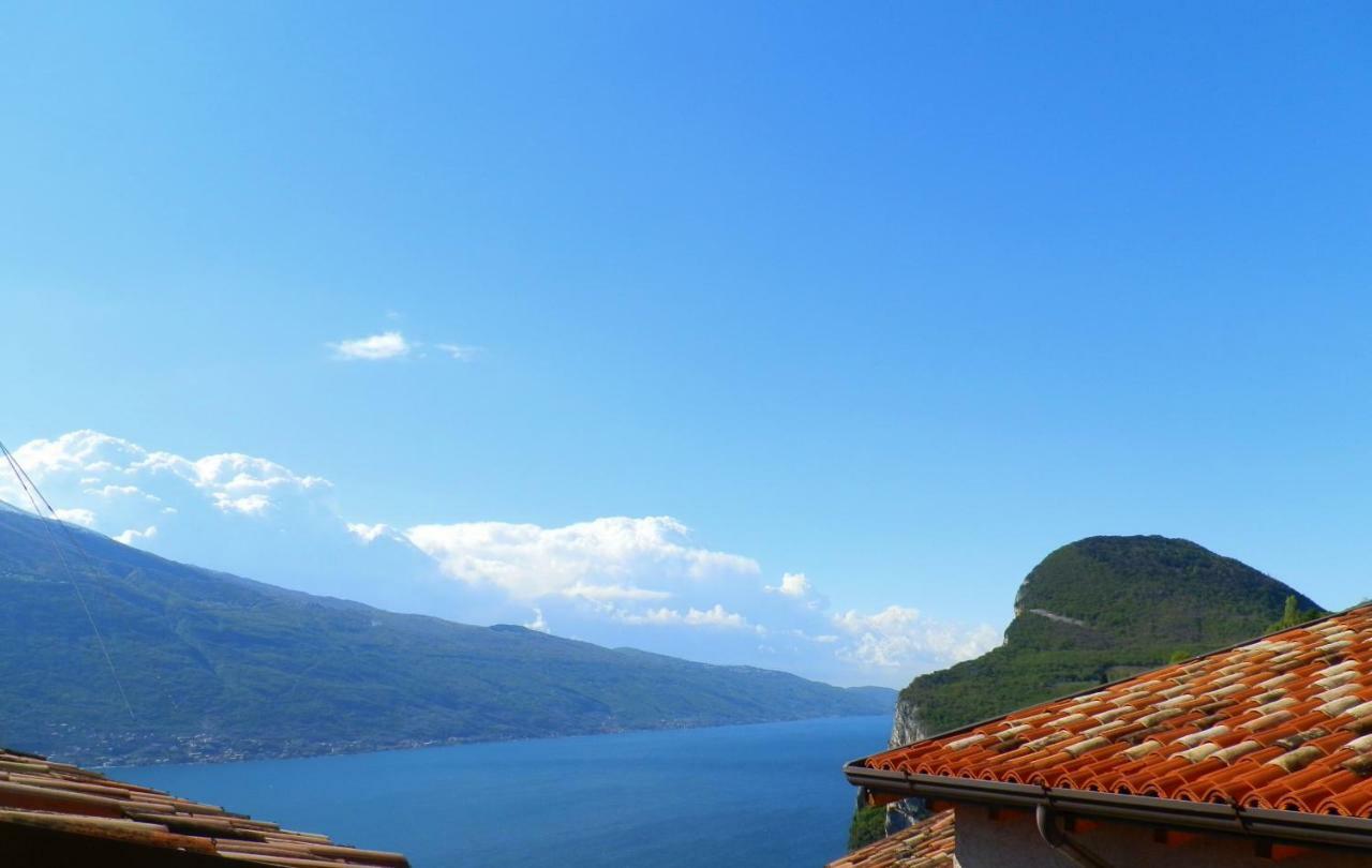 Ulivi Sul Garda Garden By Gardadomusmea Apartment Tremosine Екстериор снимка