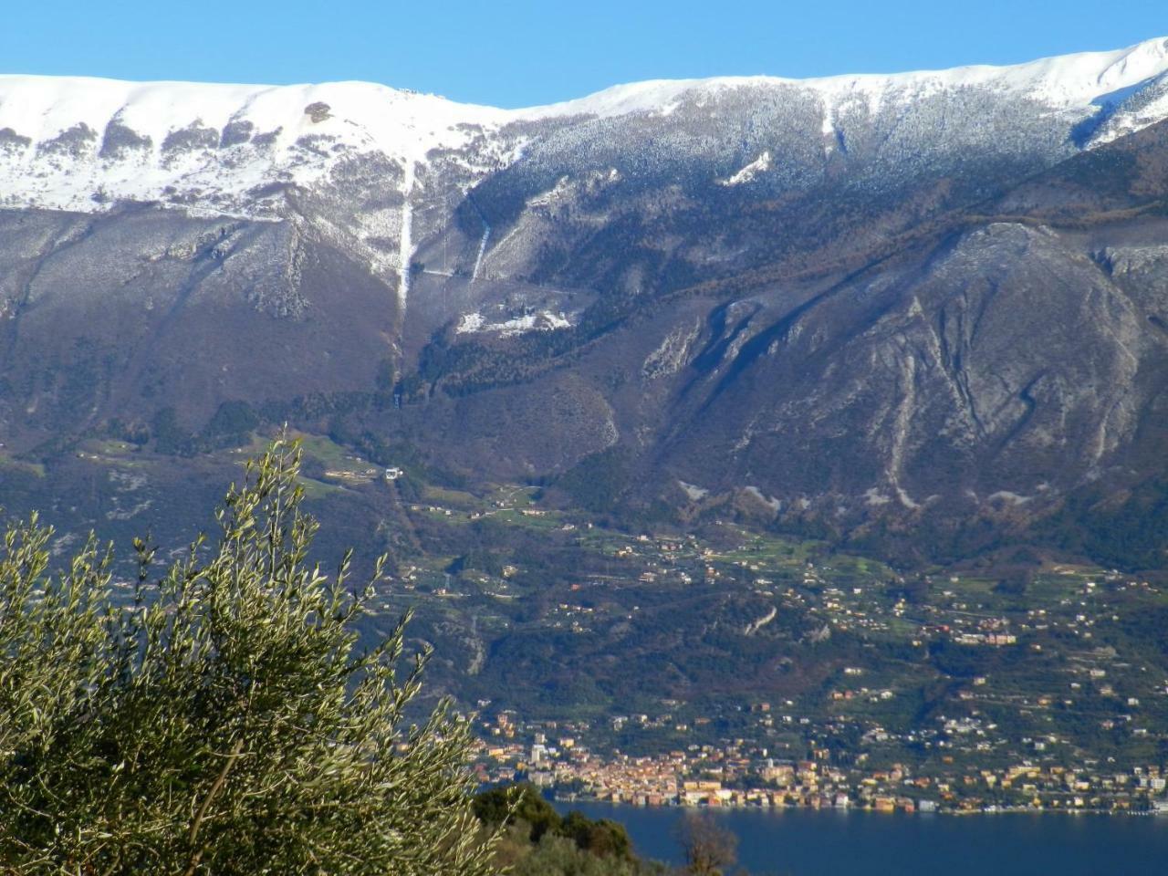 Ulivi Sul Garda Garden By Gardadomusmea Apartment Tremosine Екстериор снимка