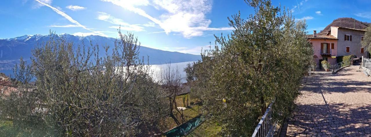 Ulivi Sul Garda Garden By Gardadomusmea Apartment Tremosine Екстериор снимка