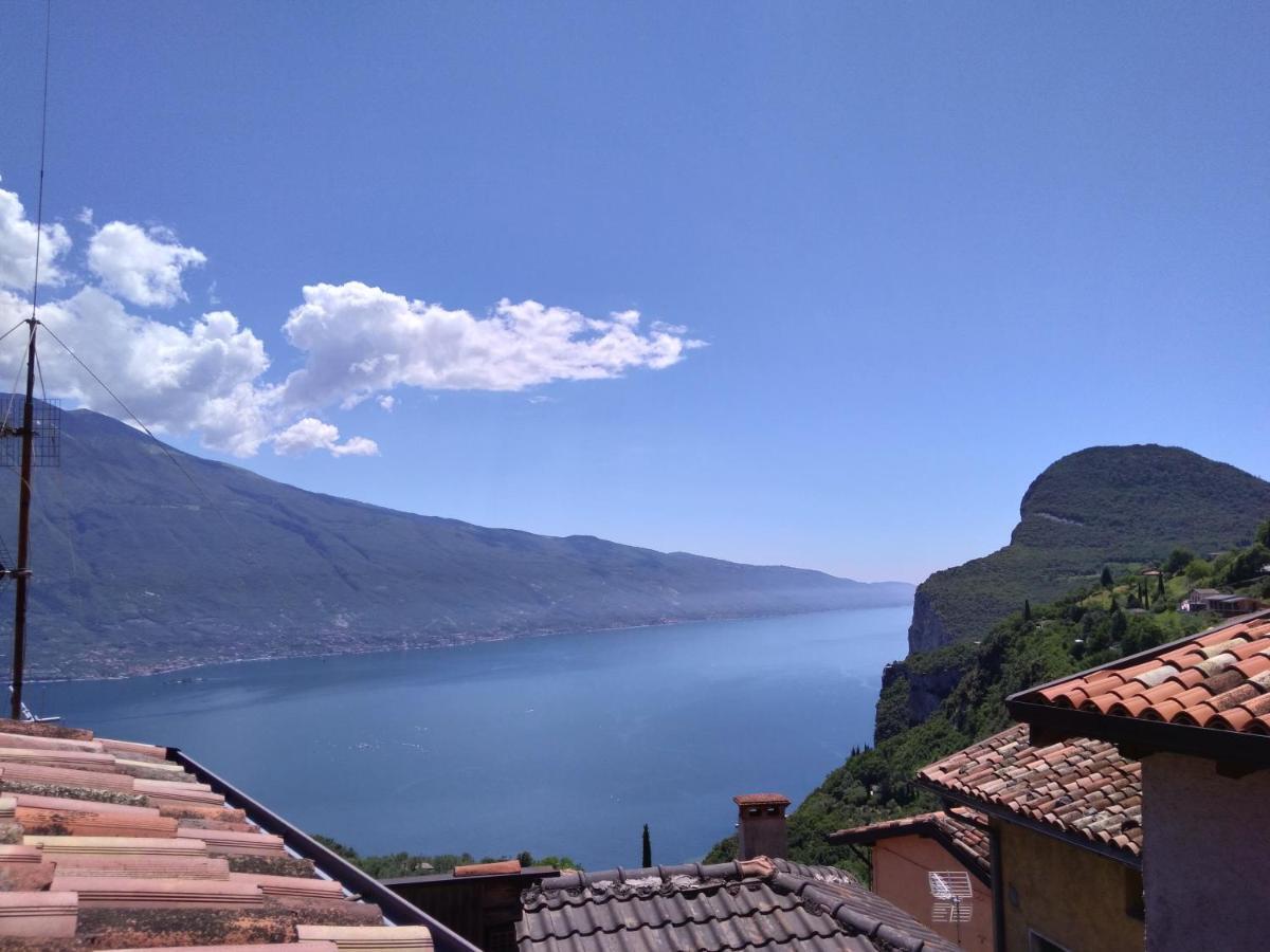 Ulivi Sul Garda Garden By Gardadomusmea Apartment Tremosine Екстериор снимка